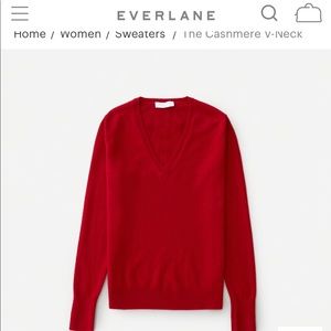 Everlane Cashmere V-Neck Sweater